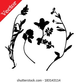 Set illustration with wild flowers silhouettes isolated on white vector