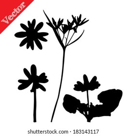 Set illustration with wild flowers silhouettes isolated on white vector