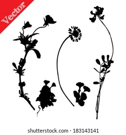 Set illustration with wild flowers silhouettes isolated on white vector
