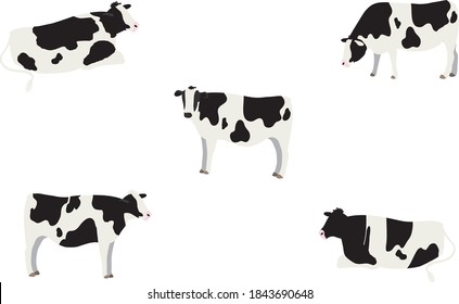 Conjunto de ilustraciones de 5 vacas