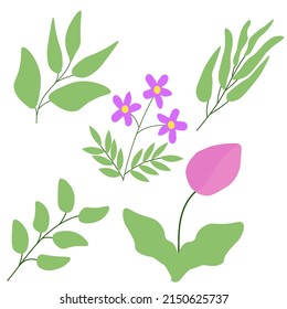 Set of illustrations abstract vector flowers and plants