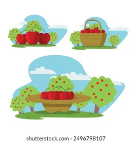 A set of illustrations with apples in the orchard