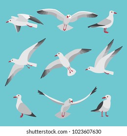 Set illustrations of atlantic seagulls in cartoon style. Pictures of birds in different poses. Seagull bird, wildlife nature animal vector