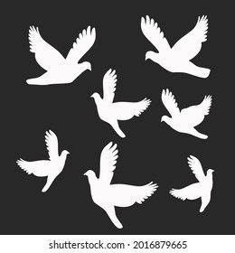 Set illustrations, Atlantic seagulls in vector style. Pictures of birds in differently flying. Seagull bird, wildlife nature animal vector