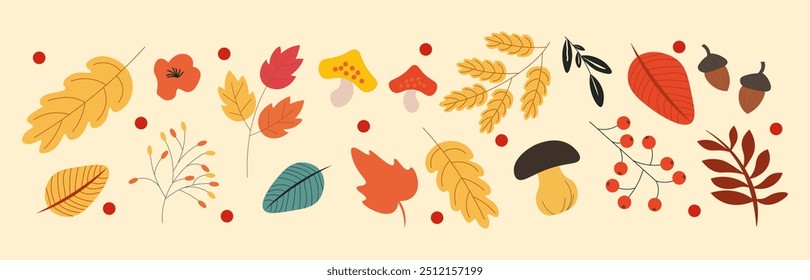 Set of illustrations of autumn decorations and frames. Seasonal elements for design. Hand drawn Maple leaf, fly agaric mushroom, acorn, rosehip. Fallen leaves. Botanical plant floral background.