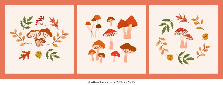 Set of illustrations with autumn elements - various mushrooms and leaves.