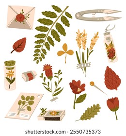 set of illustrations of autumn foliage, flowers, jars, boxes for the herbarium made in a flat style. Dried leaves, flowers in boxes, on paper, in a jar on white. Herbarium, dry flowers, scrapbooking