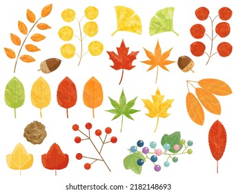 A set of illustrations of autumn leaves and plants.