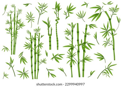 Set of illustrations of bamboo, leaves and branches, vector