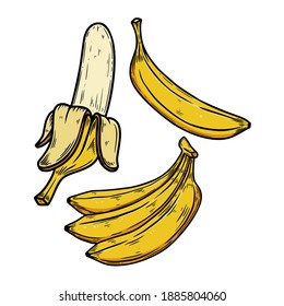 Set of  Illustrations of banana in engraving style. Design element for poster, card, banner, sign. Vector illustration