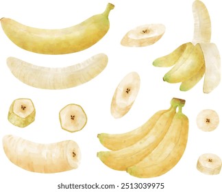 Set of illustrations of banana painted with watercolor