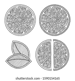 Set of illustrations for сoloring book page  with outlines of orange. For kids education or adult antistress. Hand-drawn, doodle, zentangle style. Set of illustrations.