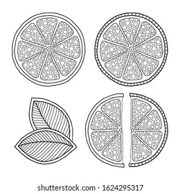 Set of illustrations for сoloring book page  with outlines of orange. For kids education or adult antistress. Hand-drawn, doodle, zentangle style. Set of illustrations.