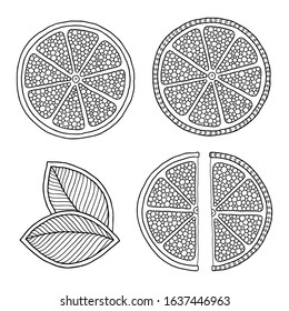 Set of illustrations for сoloring book page  with outlines of orange. For kids education or adult antistress. Hand-drawn, doodle, zentangle style. Set of illustrations.