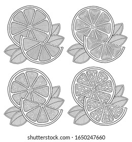 Conjunto de ilustraciones para с página del libro de colocación con contornos de naranja. Para la educación de los niños o la antiestrés de los adultos. Dibujo a mano, doodle, estilo zentangle. Conjunto de ilustraciones.