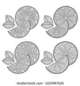 Set of illustrations for сoloring book page  with outlines of orange. For kids education or adult antistress. Hand-drawn, doodle, zentangle style. Set of illustrations.