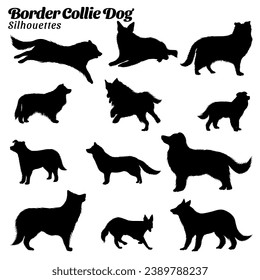 Set of illustrations of border collie dog silhouettes