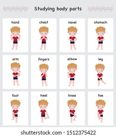 Set of illustrations "Boy names body parts in English". Poster for kindergarten and preschool