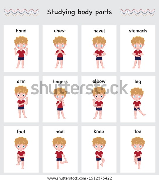 Set Illustrations Boy Names Body Parts Stock Vector Royalty Free