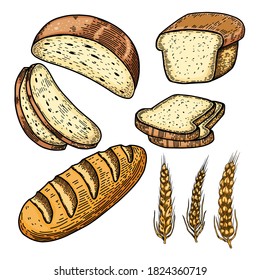 Set  of Illustrations of bread in engraving style. Design element for poster, card, banner, menu. Vector illustration