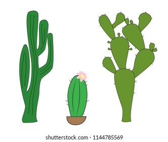 A set of illustrations with cactus. Illustration of a blooming cactus. Vector illustration. Cartoon print.