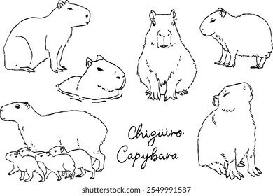 Set of illustrations of capybara or chigüire, doodle style line art, vector