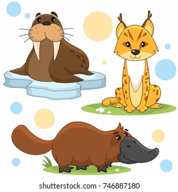 A set of illustrations of cartoon animals for children of leopards, platypus and walrus.