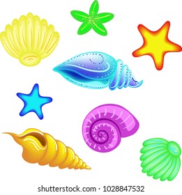 Set of illustrations in a cartoon style, sea shells