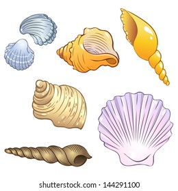 Set of illustrations in a cartoon style: sea shells