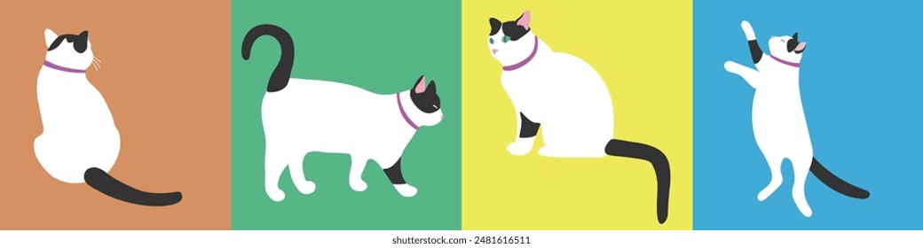 Set of illustrations. Cat in different positions. Black and white kitty sits, waits, jumps. Different actions and emotions.