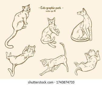 Un conjunto de ilustraciones de gatos en diferentes poses, en tonos vintage.