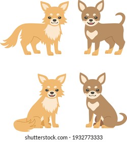 Set of illustrations of Chihuahua dogs (Long coat and Smooth coat)