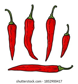 Set of illustrations of chilli peppers in engraving style. Design element for emblem, sign, poster, card, banner, flyer. Vector illustration