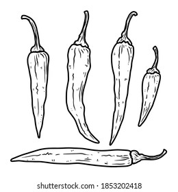 Set of illustrations of chilli peppers in engraving style. Design element for emblem, sign, poster, card, banner, flyer. Vector illustration