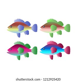 Set of illustrations of colorful fish. Vector EPS10.