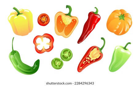 Set of illustrations of colorful variety of peppers in bright colors