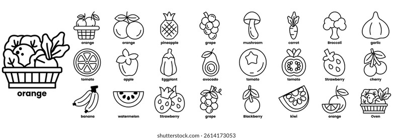 A Set of illustrations in the concept of fruits in line style