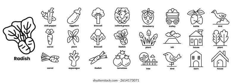 A Set of illustrations in the concept of fruits in line style