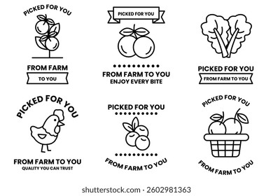 A Set of illustrations in the concept of a vegetable and fruit shop in line drawing style