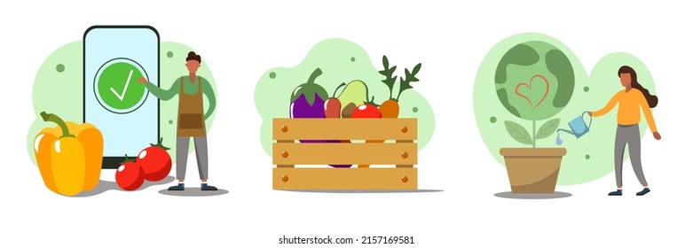 A set of illustrations of conscious consumption. The character buys fresh organic fruits, vegetables in an online grocery store. Receives a supply of agricultural vegetables. 