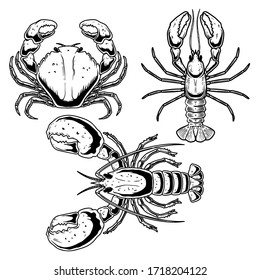 Set of illustrations of crab, lobster, omar in engraving style. Design element for poster, card, banner, logo, emblem, sign, badge. Vector illustration