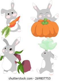 Set of illustrations cute rabbit with different vegetables
