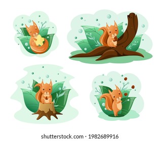 A set of illustrations with cute squirrels. Children's illustration of forest animals.