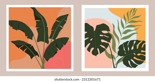 set of illustrations of decorative plants, paintings of tropical plants, monsteras, palm trees, leaf painting