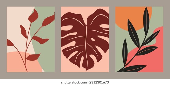 set of illustrations of decorative plants, paintings of tropical plants, monsteras, palm trees, leaf painting