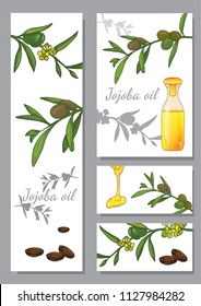 A set of illustrations depicting jojoba branches. You can use it for banners, booklets, flyers, labels and other design.