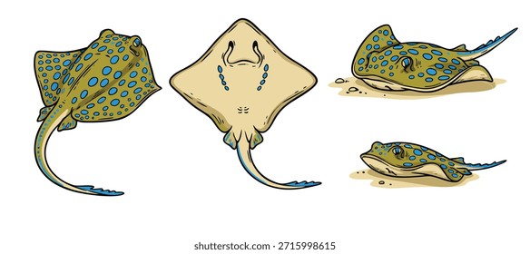 Eine Reihe von Illustrationen, die Stachelrochen aus verschiedenen Blickwinkeln darstellen und ihre einzigartigen Formen und Muster zeigen.