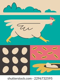 A set of illustrations for the design and printing of packaging, labels. Poultry farm producing natural products for cooking. Growing chickens in eco conditions. Pasture for hens. Domestic eggs.