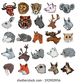 set of illustrations of different kinds of mammals