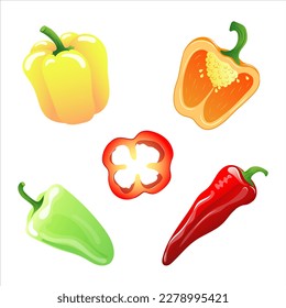 Set of illustrations of different types of peppers 